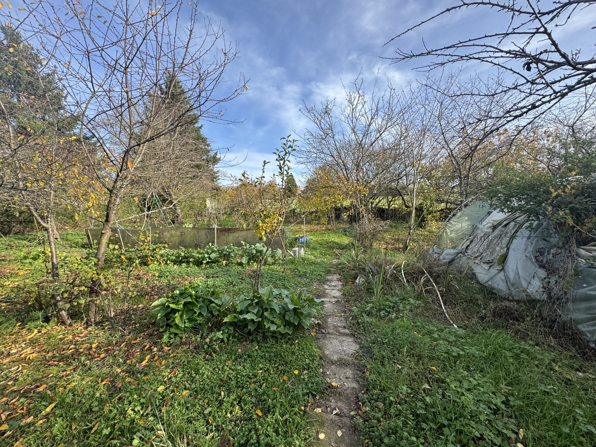 Grange avec jardin